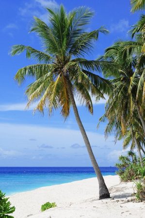 10 Nights Twin City Holiday to Dubai & Maldives
